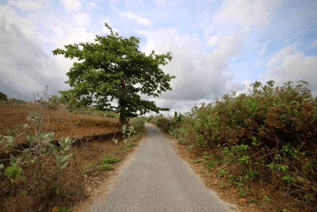 Surfing Sumba: A narrow road winds through the hills of Sumba