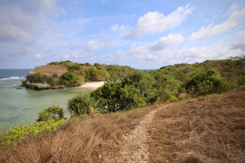 A trail leads along a rugged coastline on the Indonesian island of Sumba