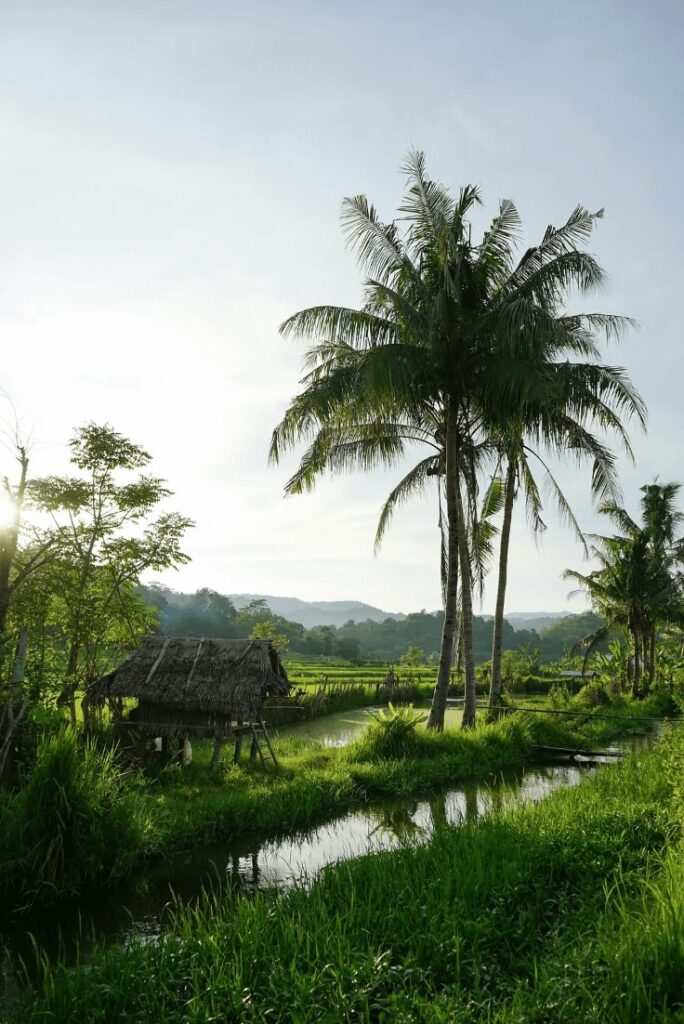 Idyllic rural scenery in Sumbawa - one of the best places to surf in Indonesia
