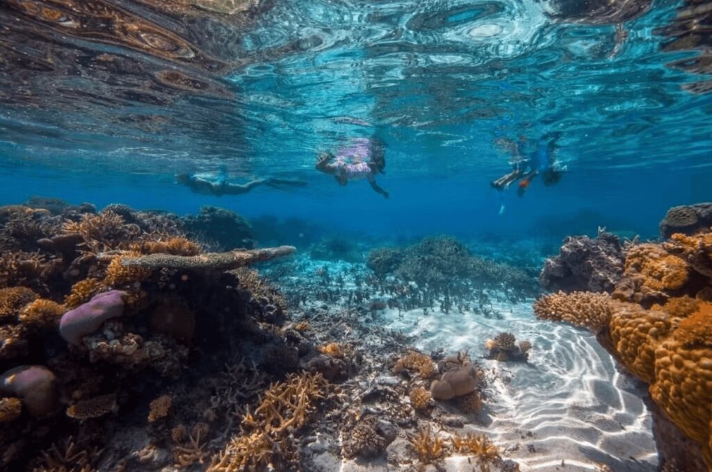 Snorkellers exploring the coral reefs around Ha'apai in Tonga 