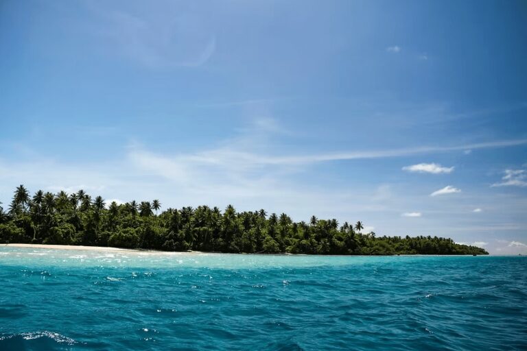 Surfing in Pohnpei, Micronesia: Best surf spots + local operators