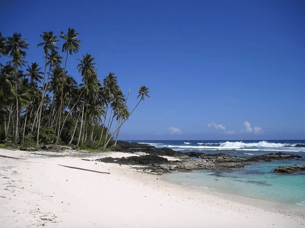 Surfing in Samoa: Palm trees tower above a rocky coastline in Samoa