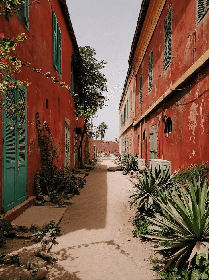 Best things to do in Dakar: Ochre-hued buildings line a laneway in Senegal