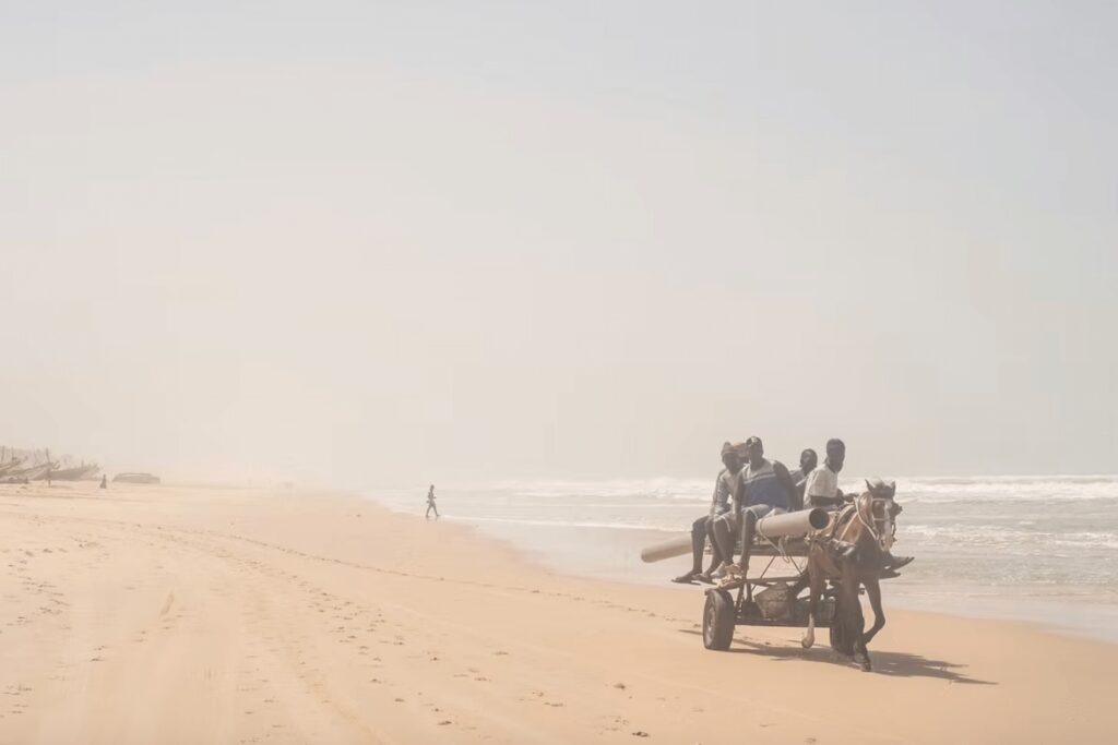 Surfing in Senegalese: A horse pulls a cart filled with people along a beach