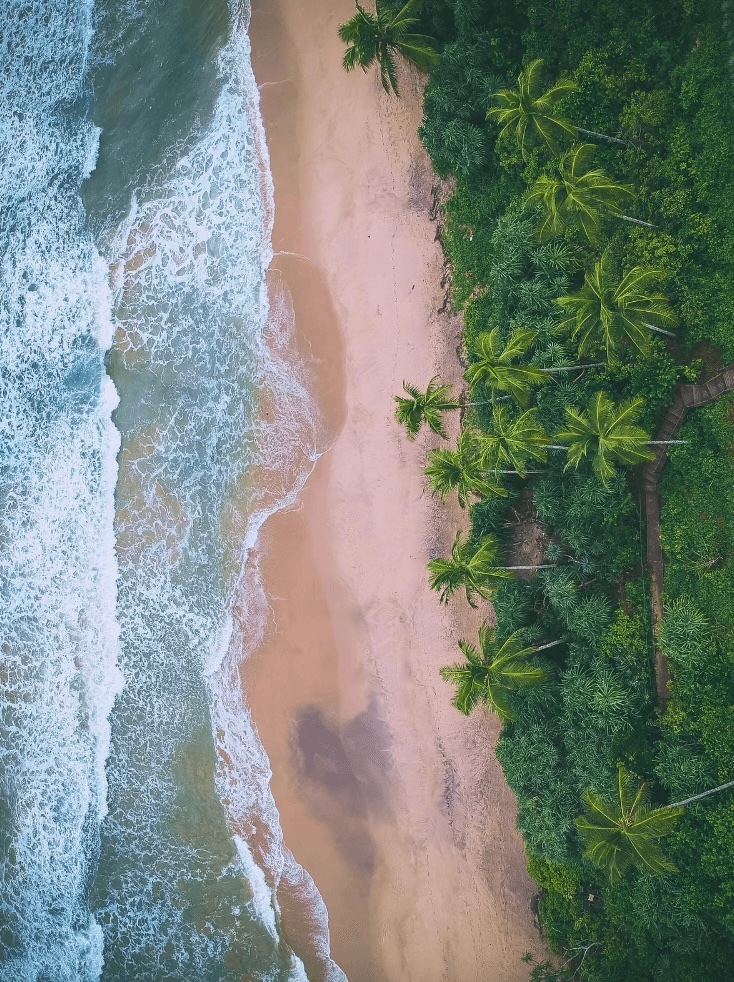 Surfing Sri Lanka: Best surf spots + eco-friendly places to stay