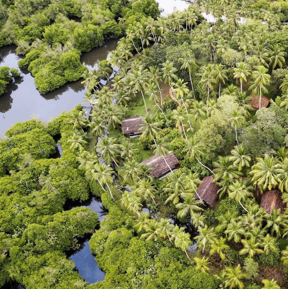 A bird's eye view of Kaju Green - an eco-friendly hotel in Unawatuna 