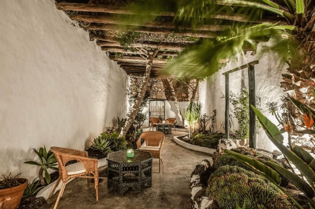 A leafy patio at Los Lirios - an eco-friendly rural property on Lanzarote 