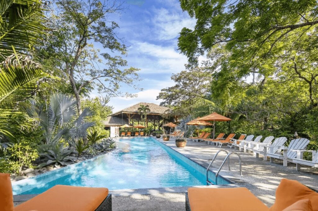 Sun loungers surround the outdoor pool at Bodhi Surf + Yoga in Costa Rica