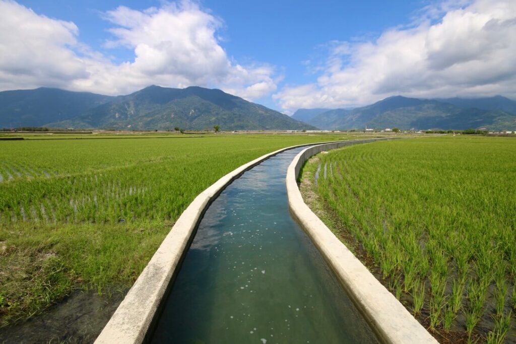 An irrigation canal winds through the rice paddies of Chishang