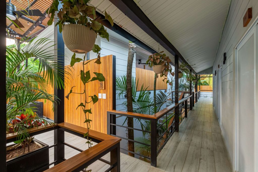 Plants decorate a walkway at Ventura Santa Teresa