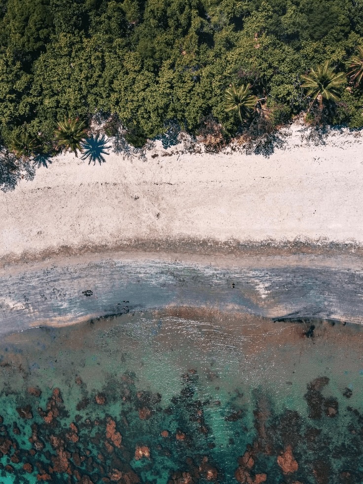 10 incredible ways to tour the Great Barrier Reef