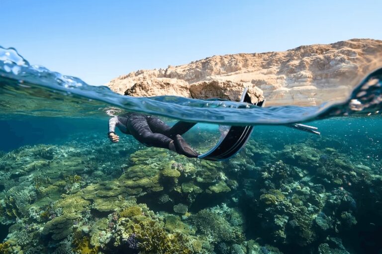 What is coral bleaching? Everything you need to know