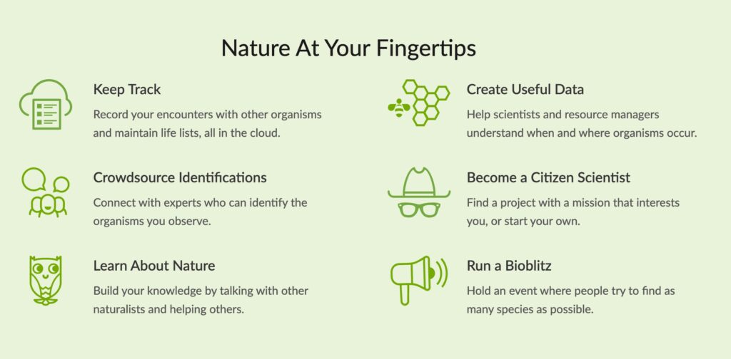 Six ways surfers can get involved in the iNaturalist citizen science program