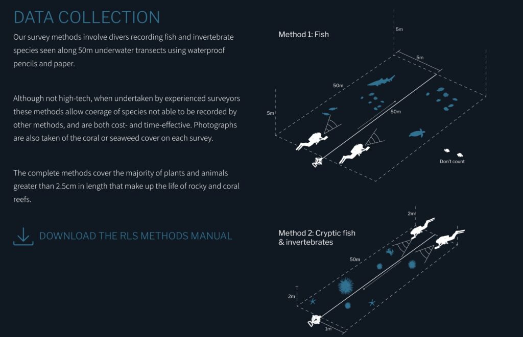 A diagram of how Reef Life Surveys are conducted by citizen scientists