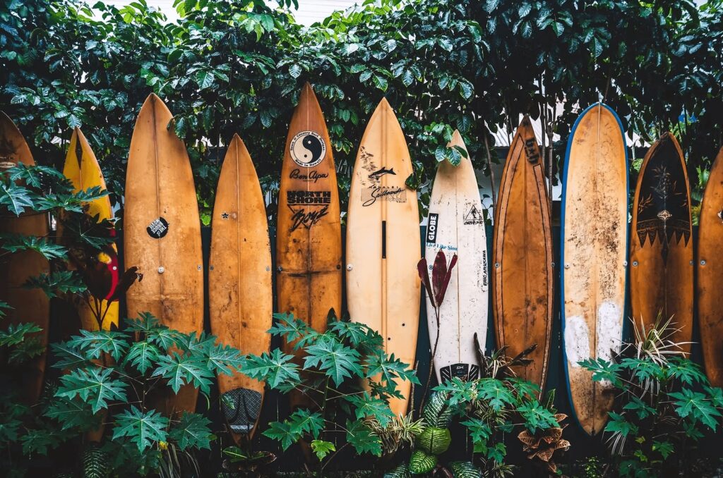 Eco surf camps and resorts around the world: A collection of vintage surfboards