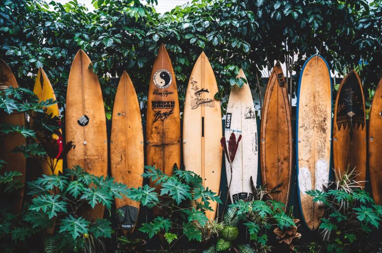 16 inspiring eco surf camps and resorts around the world