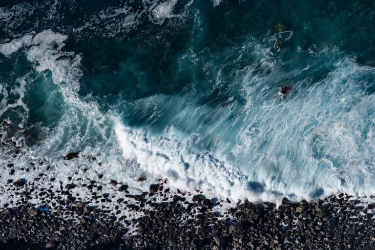 The Carbon Footprint of Surf Trips: How to Reduce + Offset Yours