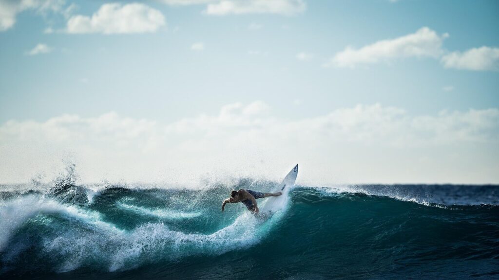 A surfer rips into a wave