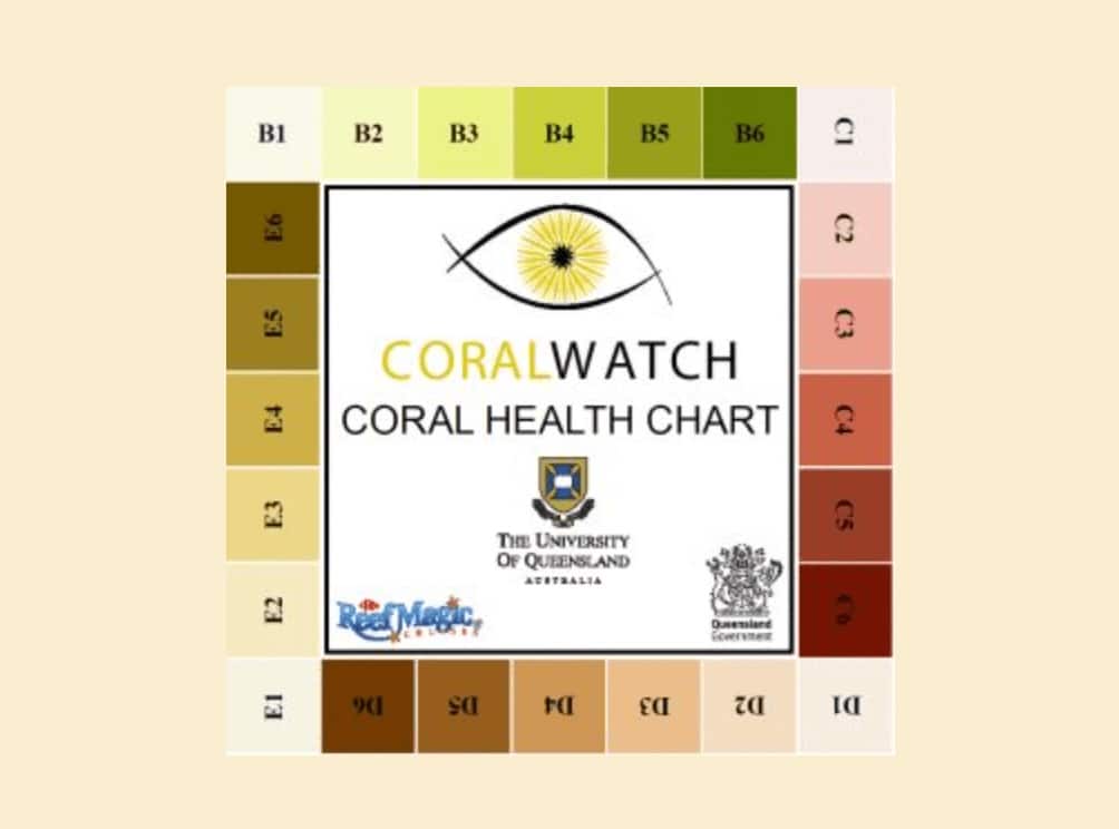 The CoralWatch Coral Health Chart is used as part of a citizen science program for divers