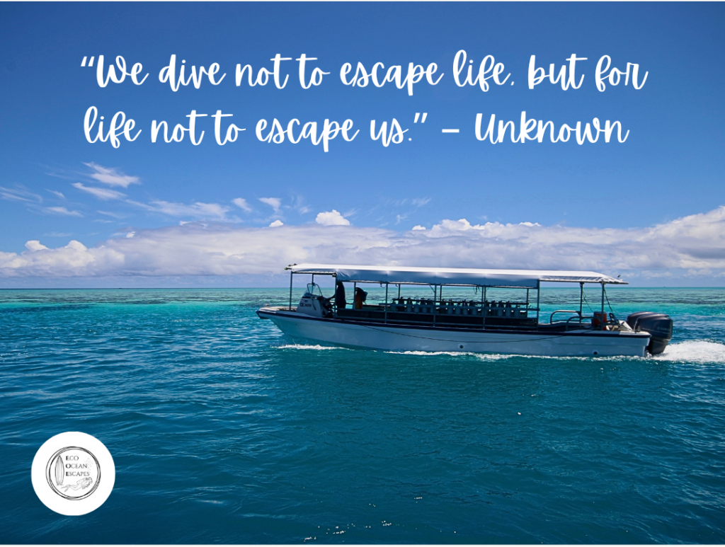 A dive boat with a quote about diving from an unknown individual