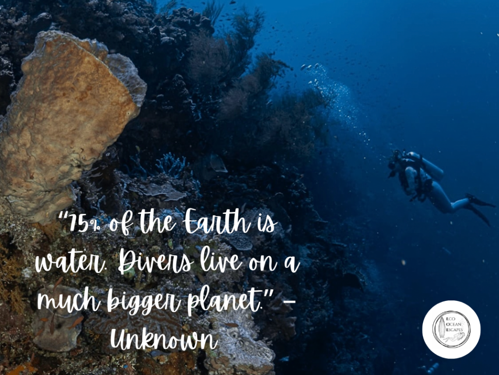 A scuba diver with a quote about diving from an unknown person
