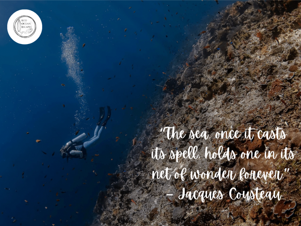 A scuba diver with a quote from Jacques Cousteau about the wonder of the sea
