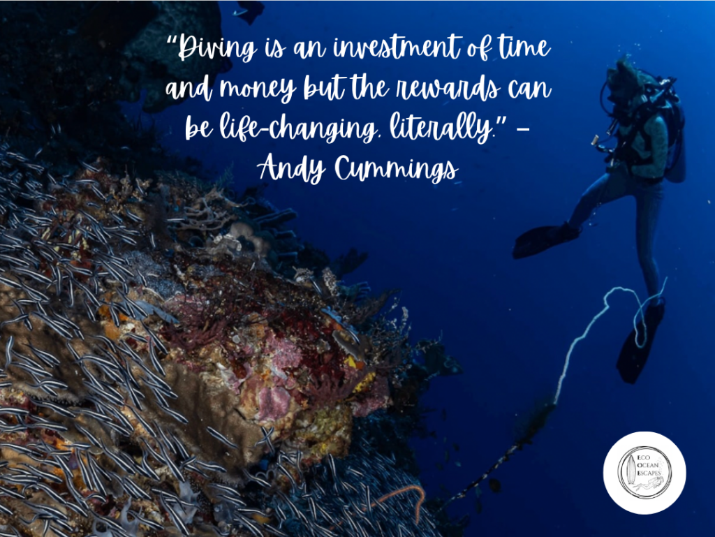 A diver with a quote from Andy Cummings