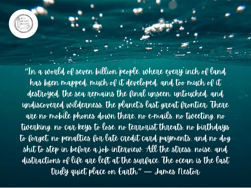 A photo of the ocean surface with a quote from James Nestor