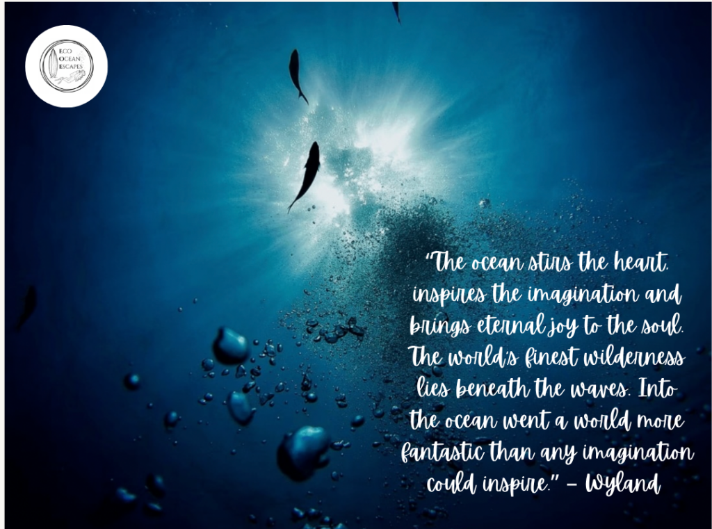 Bubbles ascend to the ocean's surface with a quote from the American artist Wyland