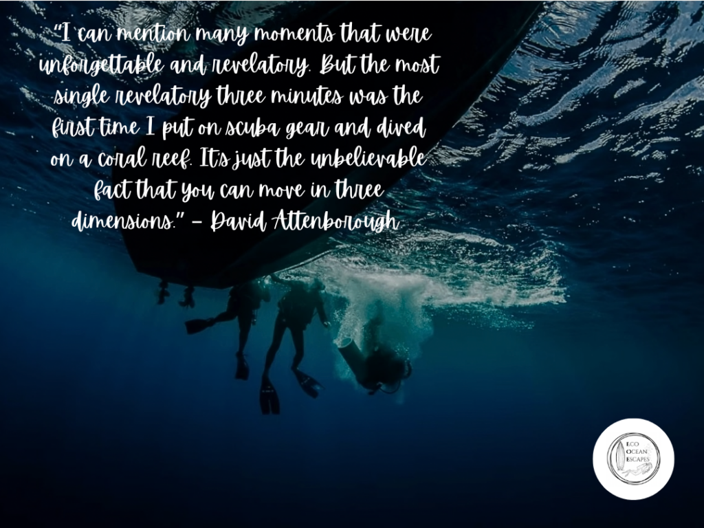 Scuba divers entering the water with a quote from David Attenborough about his first dive experience