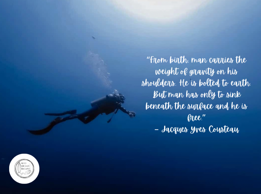 A scuba diver with a quote about freedom from Jacques Yves Cousteau