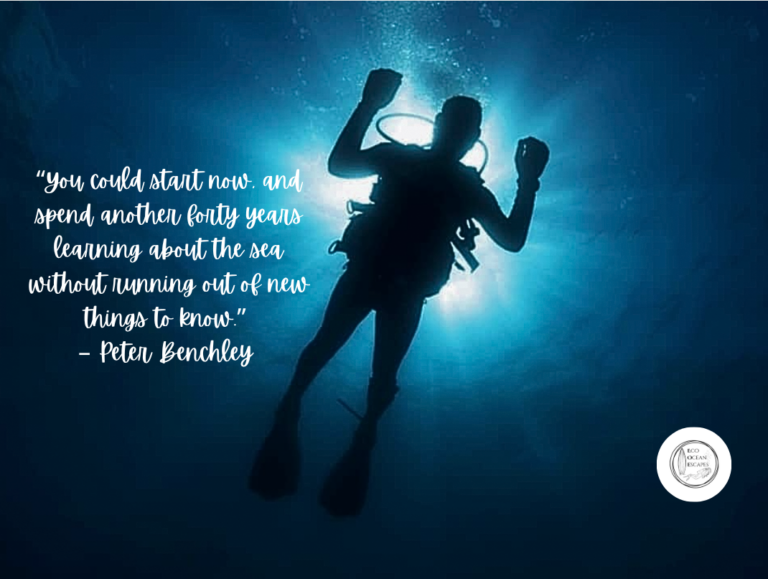 13 Inspirational Scuba Diving Quotes