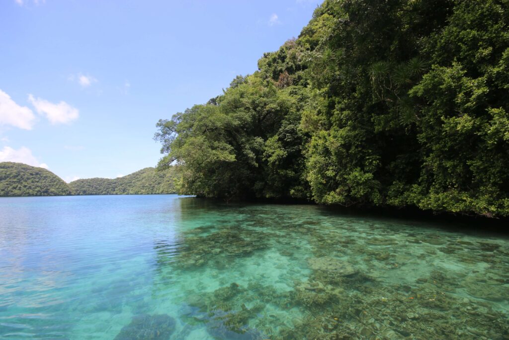 A shallow coral reef in the Rock Islands of Palau