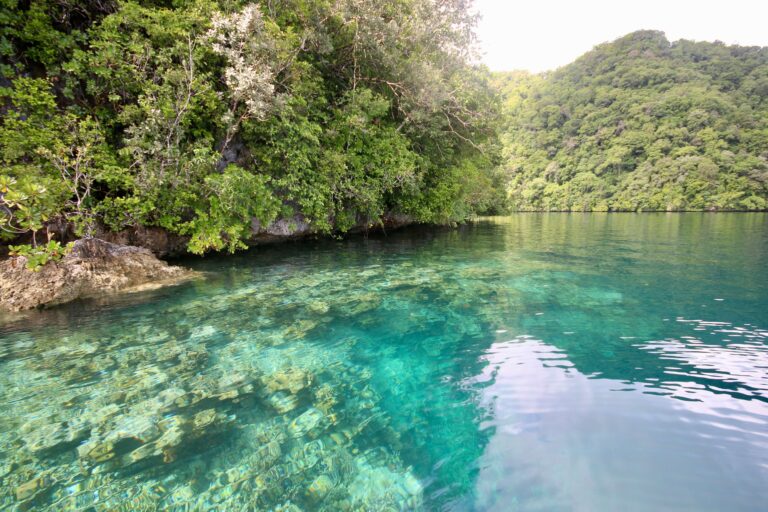 Can Tourism Save Coral Reefs? Destinations Getting It Right