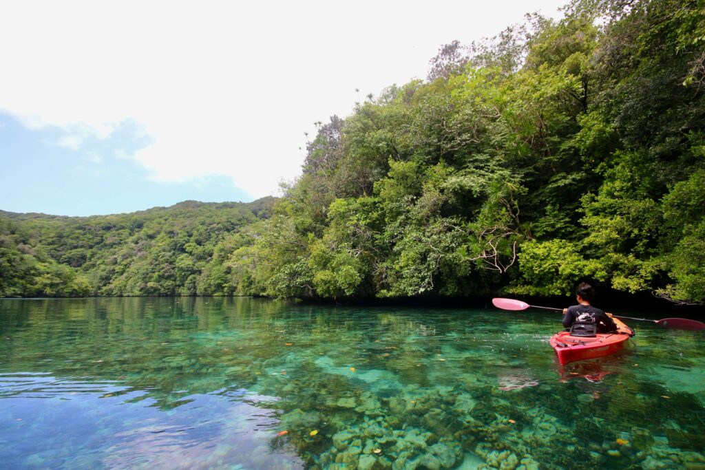 Kayaking around Nikko Bay with Paddling Palau