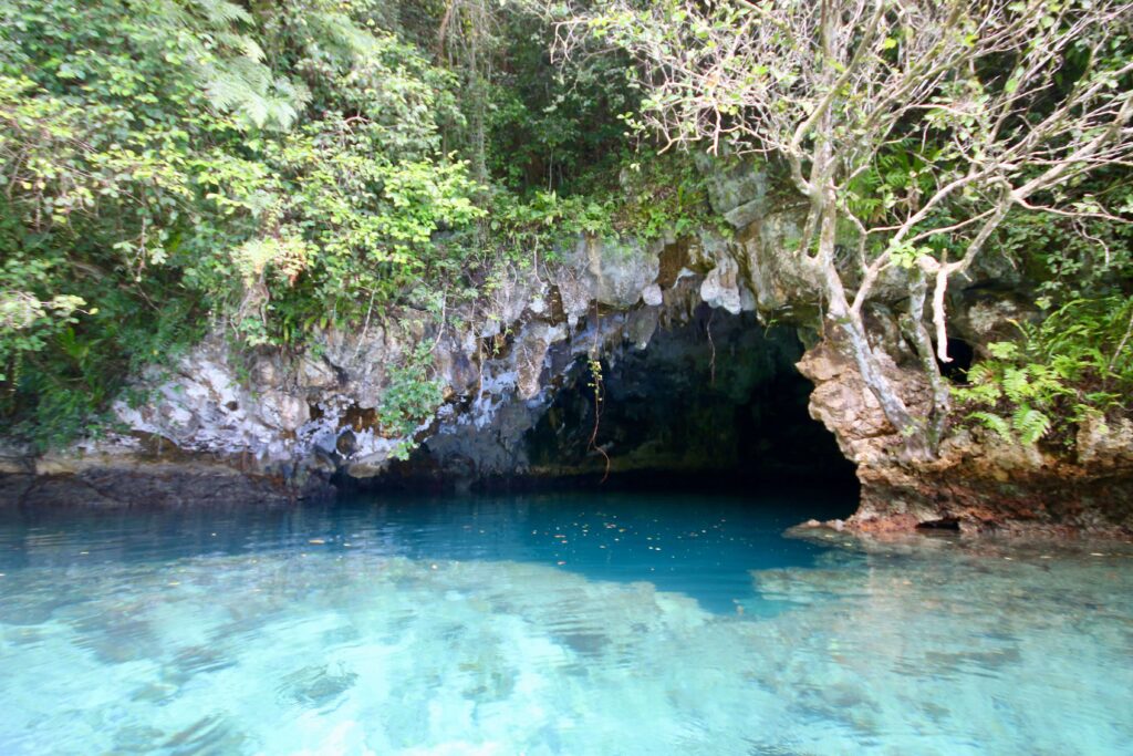 The entrance to Cathedral Cave on our Nikko Bay kayaking trip