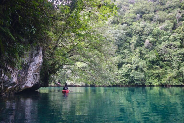 Risong Bay vs Nikko Bay kayaking in Palau
