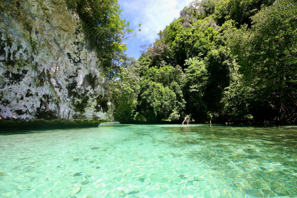 Kayaking around Risong Bay in Palau