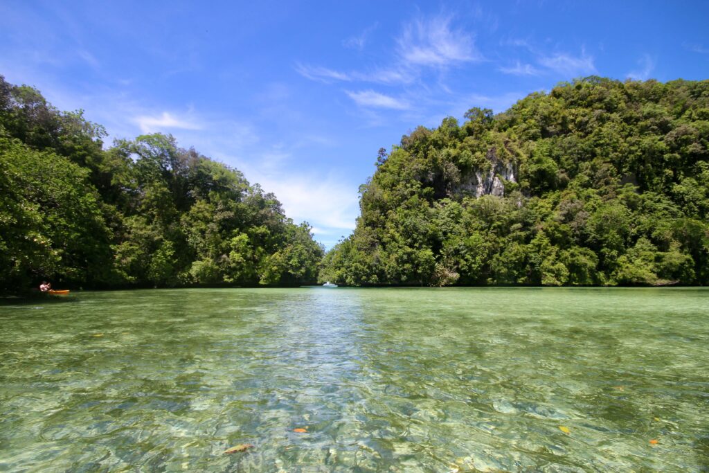 Kayaking around Risong Bay in Palau