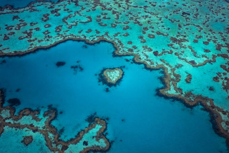 Successful Marine Protected Areas You Can Visit Around the World