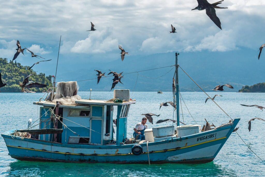 Seabirds hovering around a fishing boat